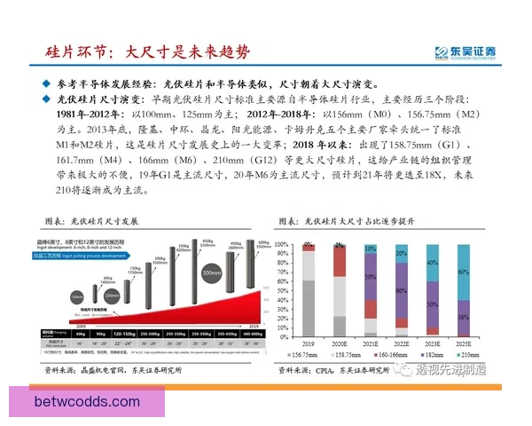 波杰姆斯基：我并未刻意追求连续四场20+ 只是专注比赛并把握机会